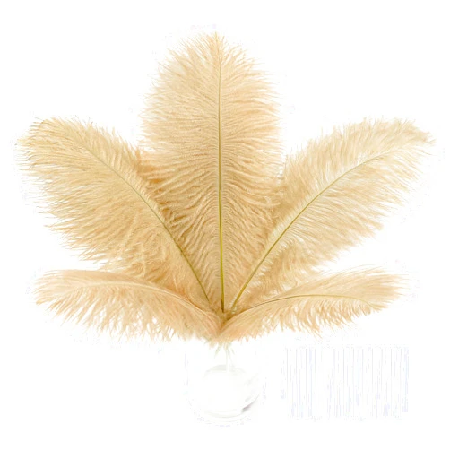 SOGUGOM Champagne Craft Ostrich Feathers - 30PCS Total Length 8-10 inch Ostrich Feathers Kit for Centerpieces, Kindergarten Crafts, Dream Catchers and DIY Projects(Champagne)