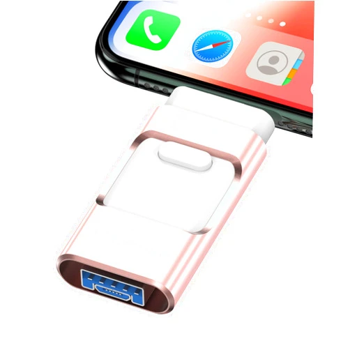 ZARMST Flash Drive for iPhone 256GB, Photo Stick Thumb Drive USB Stick High Speed Transfer USB Drives External Storage Memory Expansion for iPhone/iPad/PC/Laptop (Pink)