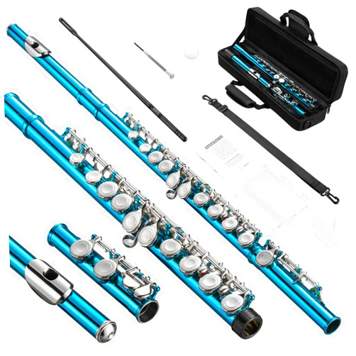 POGOLAB Flutes, Closed Hole C 16 Keys Flute Instrument, Student Flute for Beginner School Orchestra Band, with Cleaning Kit, Carry Bag, Strap, Probe Rod, Gloves (Sky Blue)