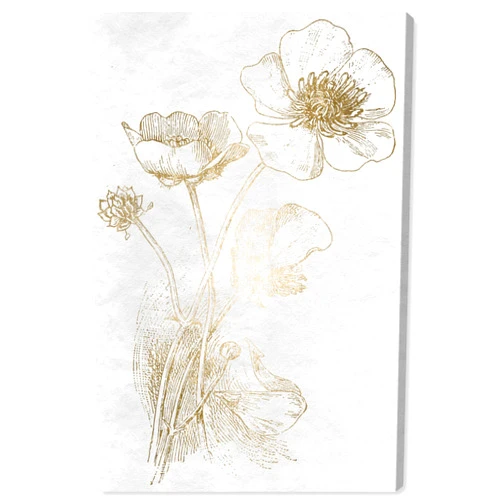 The Oliver Gal Artist Co. Floral Wall Art Canvas Prints 'Poppy Sketch Home Décor, 10