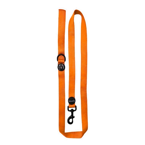 ShawnCo Dream Walk Dog Leash- Premium, Nylon Pet Leash with Soft Neoprene Handle for Small, Medium and Large Dogs (Sunset Orange, Small)