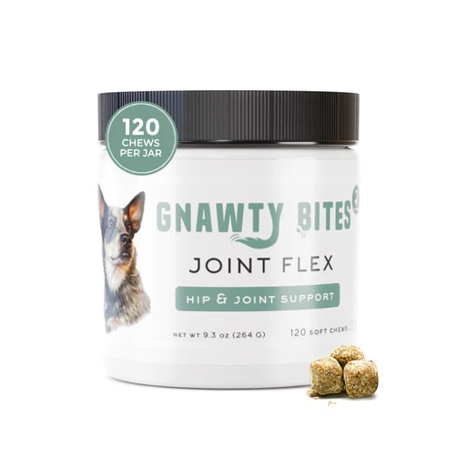 Gnawty Pets Gnawty Bites Joint Flex | Dog Hip & Joint Support Supplement for Mobility & Advanced Joint Health with Glucosamine Chondroitin MSM, Turmeric, Dog Joint Supplement,120 Soft Chews