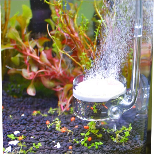 Yagote CO2 Diffuser Glass Reactor with U Shape Connecting Tube for Pollen Aquarium Plants Tank(CO2 Diffuser-Large Flat-Bottomed)