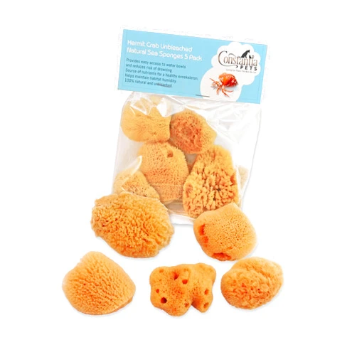 Constantia Pets Hermit Crab Real Sea Sponges - 5 Pack Unbleached, Provides Nutrients, Safer Drinking and Helps Maintain Habitat Tank Humidity