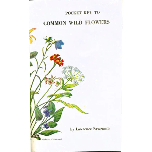 By Lawrence Newcomb (Author) Pocket Key to Common Wild Flowers