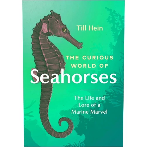 Till Hein,Renée Von Paschen The Curious World of Seahorses: The Life and Lore of a Marine Marvel