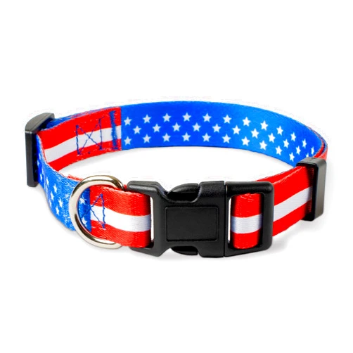 Native Pup American Flag Dog Collar (Medium, Flag I)