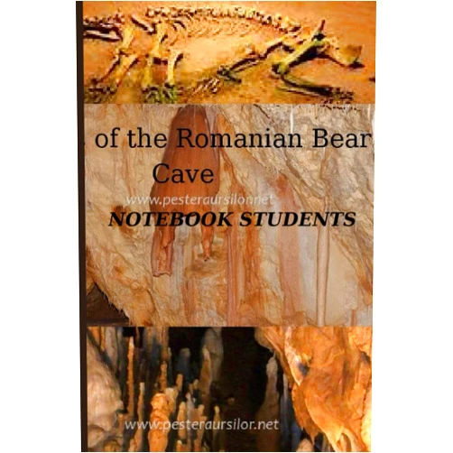 Lazea Traian Notebook students