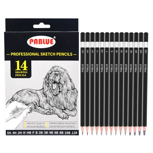 PABLUE Professional Triangular Drawing Sketching Pencil Set,6H,4H,2H,H,HB,F,B,2B,3B,4B,6B,8B,10B,12B Graphite Shading Pencils for Beginners,ProArtists,Drawing,Drafting,Sketching,Shading(14 Pcs)