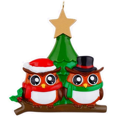 MAXORA Owl Family of 2 Couple Christmas Tree Ornament - Personalized Christmas Ornaments Family of 2 - Unique Christmas Keepsake Gifts for Mom, Dad, Kids, Grandma, Grandpa