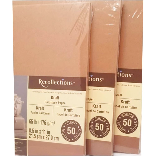 Recollections Cardstock Paper Value Pack, 8.5 x 11 in Kraft by Recollections