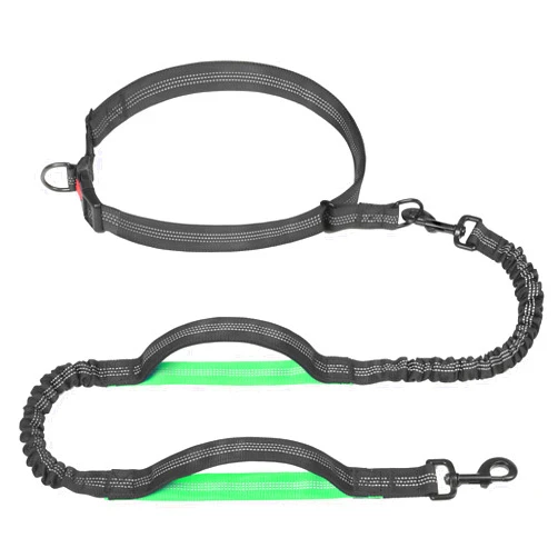 IYoPets Hands Free Dog Leash for Running, Walking, Hiking, Durable Dual-Handle Bungee Leash with Reflective Stitching and an Adjustable Waist Belt, for Up to 150 lbs Large Dogs (Medium/Large, Black)