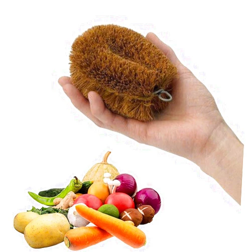 AARORO Vegetable Scrub Brush Natural Coconut Fiber,Potato Scrubber Brush Veggies Fruits Scrub with Wire Hanging Loop Ideal for Kitchen Cleaning (1 Pack)