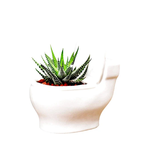 MONMOB Ceramic White Toilet Plant Pot/Bonsai Pot/Flower Pot/Succulent Planter 4.6