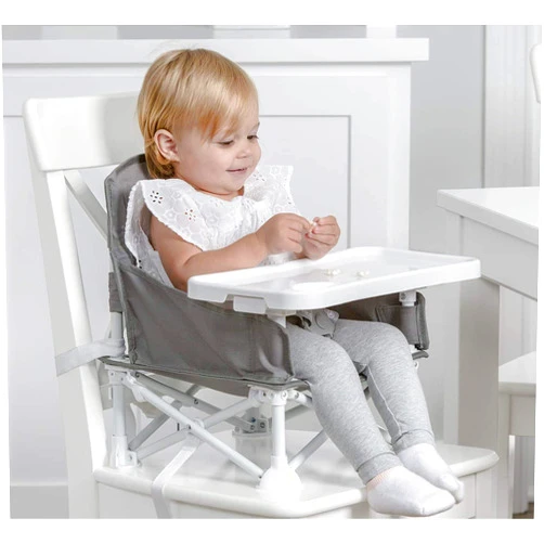 Regalo My Chair 2-in-1 Portable Travel Booster Seat & Activity Chair, Bonus Kit Includes, Oversized Removable Tray with Cup Holder, Travel Case, Grey