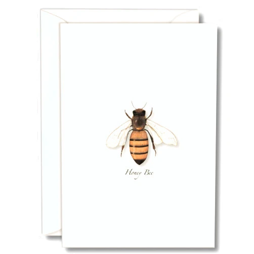 Earth Sky + Water - Honey Bee Notecard Set - 8 Blank Cards with Envelopes
