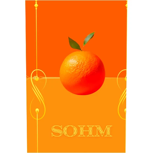 By Ziaka Thalthamf (Author) Sohm Notebook