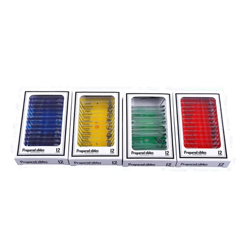 Pupilash Prepared Slides - Blank Microscope Slides A Set Plastic Prepared Microscope Slides Animals Insects Plants Flowers 48pcs