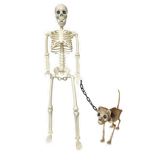 Velasko Skeleton Decor 36 Inches High Full Body Posable Standing with 18.8 Inches Long Skeleton Dog for Party Haunted House Supplies Outdoor