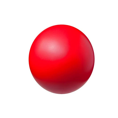 Champion Sports Uncoated Regular Density Foam Ball