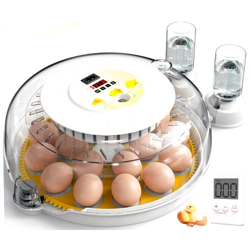 DETODDA Eggs Incubators for Hatching Eggs with Automatic Turner, 18 Egg Incubators for Hatching Chicks, Egg Candler, Incubator for Chicken Eggs with Automatic Water Top-up for Hatching Chickens