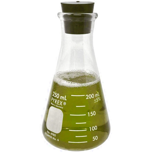 Corning Pyrex #4980-250, 250ml Narrow Mouth Erlenmeyer Flask with Rubber Stopper (Single)