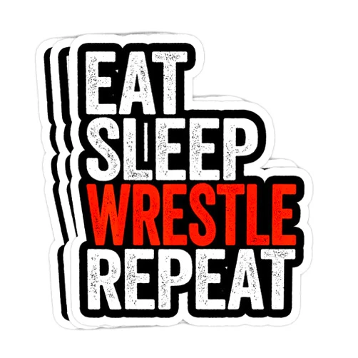 GrayFoxxy Eat Sleep Wrestle Repeat Wrestling Gift Gift Decorations - 4x3 Vinyl Stickers, Laptop Decal, Water Bottle Sticker (Set of 3)