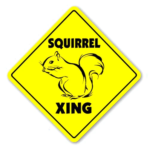 1080 Graphics Squirrel Crossing Sign New Xing Signs Animals Hunter Rodent Joke Gift Nut Lover Sticker 8