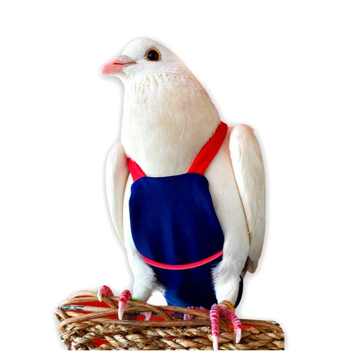 FLYPER Bev's Bird Boutique Regular Flyper Adjustable Bird Diaper | Reusable, Washable Cloth | Comfort Fit for Parrot, Cockatiels, & Other Small Birds | Fashionable Avian Accessories, Navy & Red, Size 9