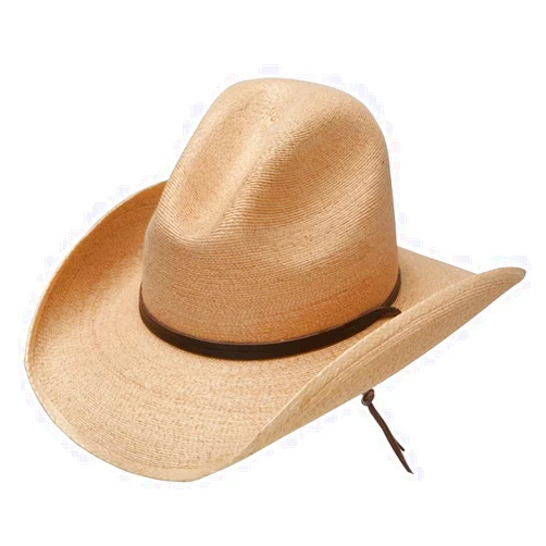 Stetson Men's Bryce Straw Hat