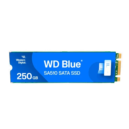 Western Digital 250GB WD Blue SA510 SATA Internal Solid State Drive SSD - SATA III 6 Gb/s, M.2 2280, Up to 555 MB/s - WDS250G3B0B