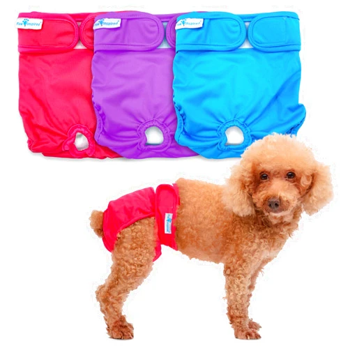 Paw Inspired Washable Dog Diapers | Reusable Dog Diapers | Female Dog Diapers | Absorbent Dog Diapers | Doggie Diaper | 3 Pc | Multiple Colors | Assorted (White Lining) | Small
