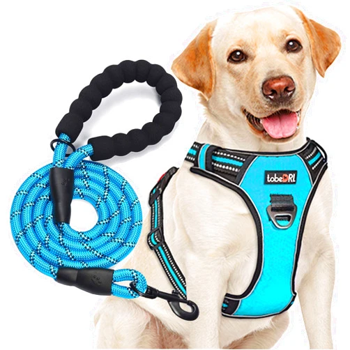 tobeDRI No Pull Dog Harness Adjustable Reflective Oxford Easy Control Medium Large Dog Harness with A Free Heavy Duty 5ft Dog Leash (L (Neck: 18