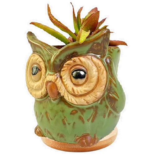 Ruoxian Animal Shaped Flower Pot Cute Vase Pot Owl Shaped Pot Ceramic Succulent Plant Pot Cactus Plant Pot Flower Pot Container Planter with Drainage Hole Home Office Desk Garden Gift Idea(Owl)