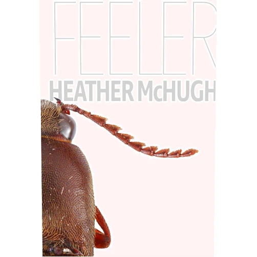 Heather McHugh Feeler (Quarternote Chapbook Series)