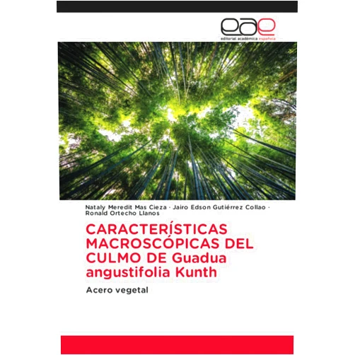 Nataly Meredit Mas Cieza,Jairo Edson Gutiérrez Collao,Ronald Ortecho Llanos CARACTERÍSTICAS MACROSCÓPICAS DEL CULMO DE Guadua angustifolia Kunth: Acero vegetal (Spanish Edition)