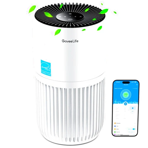 GoveeLife Mini Air Purifier for Bedroom, HEPA Smart Filter Air Purifier with App Alexa Control for Pet Hair, Odors, Pollen, Smoke, Portable Air Cleaner with 3 Speeds, 2 Modes, Timer, Aroma for Home