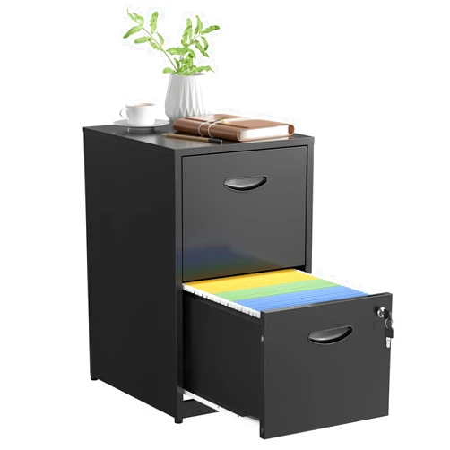 SteeLoong 2 Drawer File Cabinets,Metal Office File Cabinet with Lock,Black Filing Cabinets for Home Office,Vertical Modern File Cabinet Office Two Drawers for Hanging Letter,Assembly Required