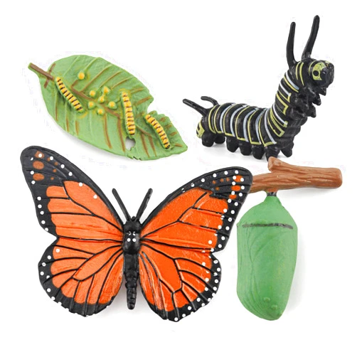 Fantarea 4PCS Realistic Butterfly Animal Life Cycle Insect Growth Model Figure Desktop Decoration Party Supplies Educational Development Toys for 5 6 7 8 Year Old Boys Girls Kid Toddlers