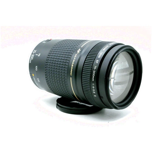 Canon Used Canon 75-300mm f4-5.6 II USM Lens (Renewed)