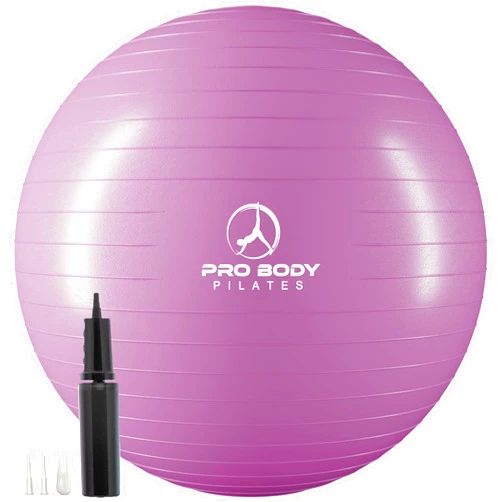 ProBody Pilates Ball Exercise Ball Yoga Ball, Multiple Sizes Stability Ball Chair, Large Gym Grade Birthing Ball for Pregnancy, Fitness, Balance, Workout and Physical Therapy w/Pump