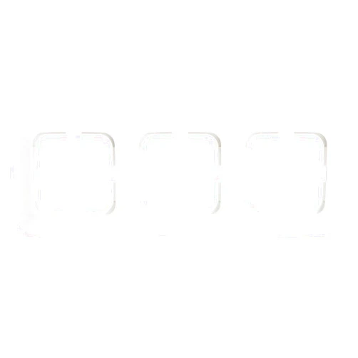 Busch-Jaeger Frame Triple 2513 214