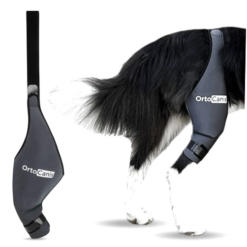 Ortocanis Dog Knee Brace for Torn Acl Hind Leg, Cruciate Ligament Injuries, Patella Dislocation or Osteoarthritis - Dog Acl Knee Brace - Dog Braces for Back Leg for Support (XX-Small, Left Leg)