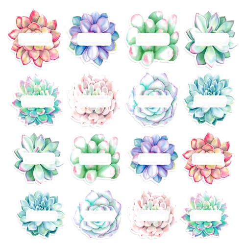 Whaline 80Pcs Succulent Cutout Name Tag Stickers 8 Designs Rustic Bloom Classroom Blank Nameplate Sticker Bulletin Board Decoration Label Stickers for Summer Office School,10 Sheet