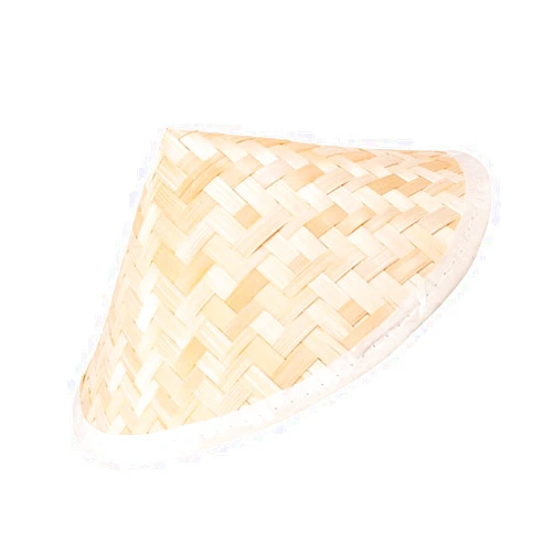 TOYANDONA Hat for Men 1pc Bamboo Hat Vietnamese Hat Mens Panama Straw Hat Ladies Straw Hats for Summer Mens Straw Sun Hats for Women Photography Prop Hand-Knitted Hat Asia