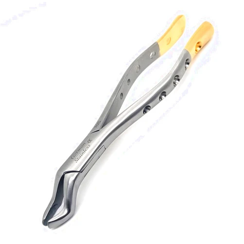 A2Z SCILAB Dental Extracting Extraction Serrated Forceps 10S, for Upper Molar Universal Premium Quality Gold Handle, Stainless Steel