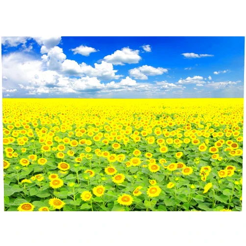 BELECO Sunflower Field Backdrop for Photography 7x5ft Fabric Yellow Flowers Backdrop Sunflowers Birthday Party Decorations Outdoor Picnic Holiday Party Backdrop Kids Adults Portrait Photo Props