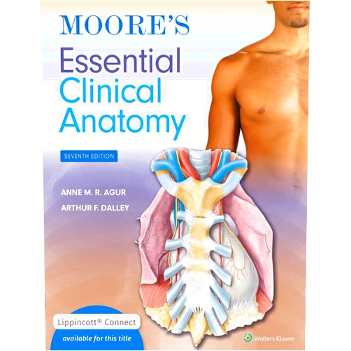 By Anne M. R. Agur BSc (OT) MSc PhD FAAA (Author), Arthur F. Dalley II PhD FAAA (Author) Moore's Essential Clinical Anatomy (Lippincott Connect)