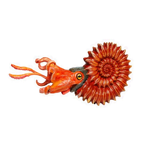 Safari Ltd. Ammonite Figurine - Detailed 5.25