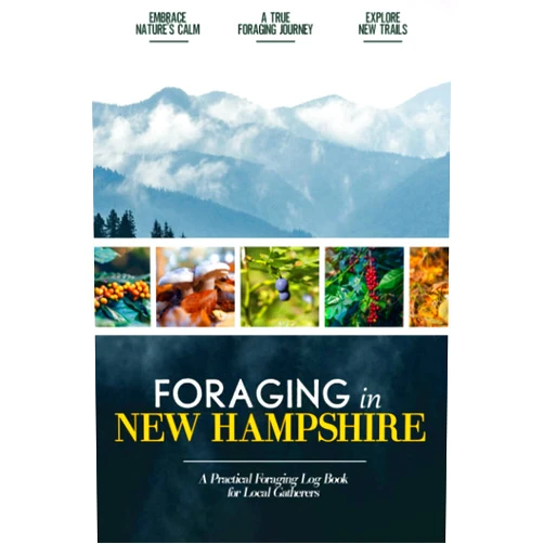 Emily Reyes-Ellis Foraging in New Hampshire: Foraging Log Book for Local Backyard Gatherers | Embrace Nature's Calm | A True Foraging Journey | Practical Woods Exploration Workbook